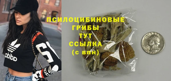 сатива Волоколамск
