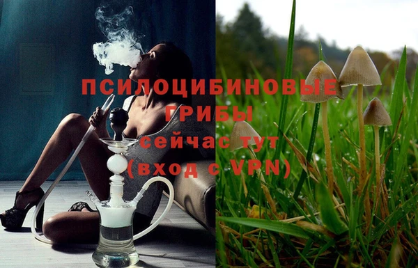 сатива Волоколамск
