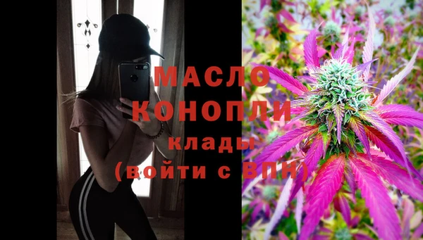 сатива Волоколамск