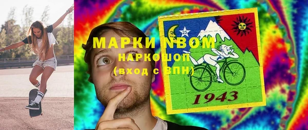 сатива Волоколамск
