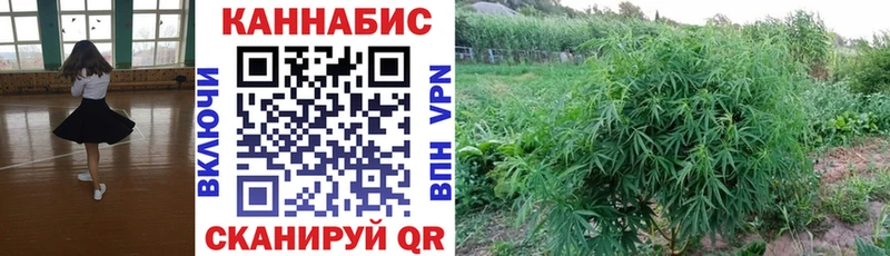 наркота  Каменка  Каннабис VHQ 